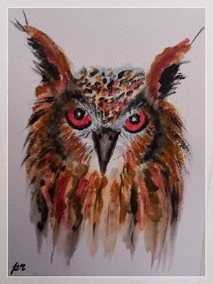 tawny Owl in watercolour.jpeg