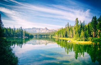 The Lake