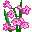 flowerpink :flowerpink