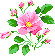 :flowerbig